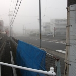 霧で信号が見にくいです。